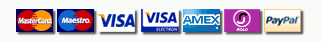 paypal safe payment logo
